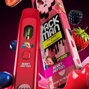 Packman Berry Payton Einweg Vape