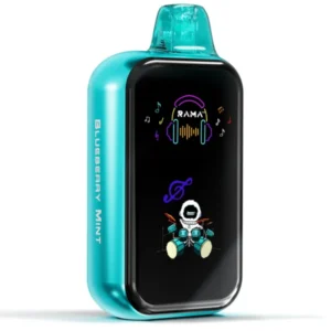 RAMA 16000 Züge Einweg Vape Blueberry Mint – Rama TL16000