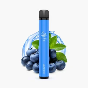 ELFBAR 600 - Blueberry (0% Nikotin)