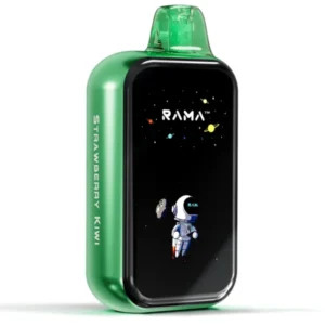RAMA 16000 Züge Einweg Vape Strawberry Kiwi – Rama TL16000