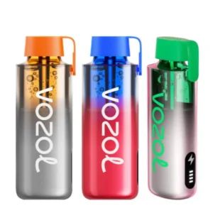 Vozol Neon 10000 Einweg Vape